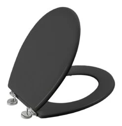 Allibert Wc-bril BOLIVA - Geperst Hout - Verchroomde Scharnieren - Grijs Gelakt