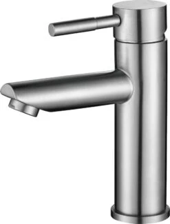 SaniBright Wastafelkraan Geneve RVS - Wastafelkraan RVS - RVS Badkamerkraan